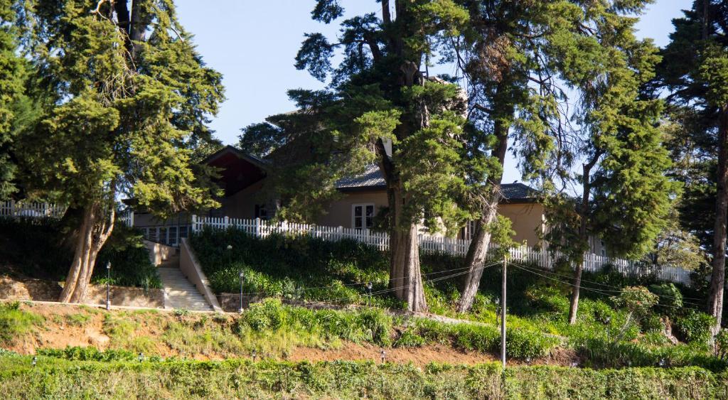 Villa The Firs à Nuwara Eliya Extérieur photo
