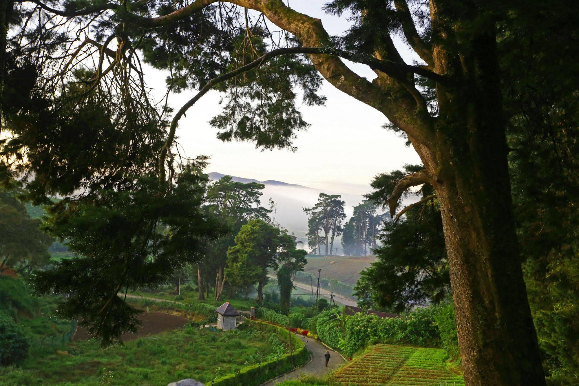 Villa The Firs à Nuwara Eliya Extérieur photo